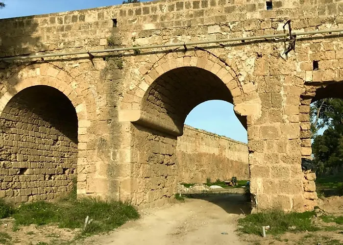 Jasmine Han/Misafirhane *