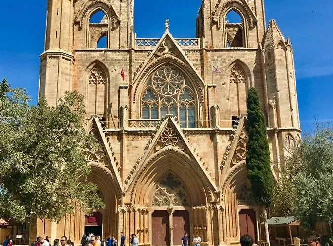 Jasmine Han/Misafirhane